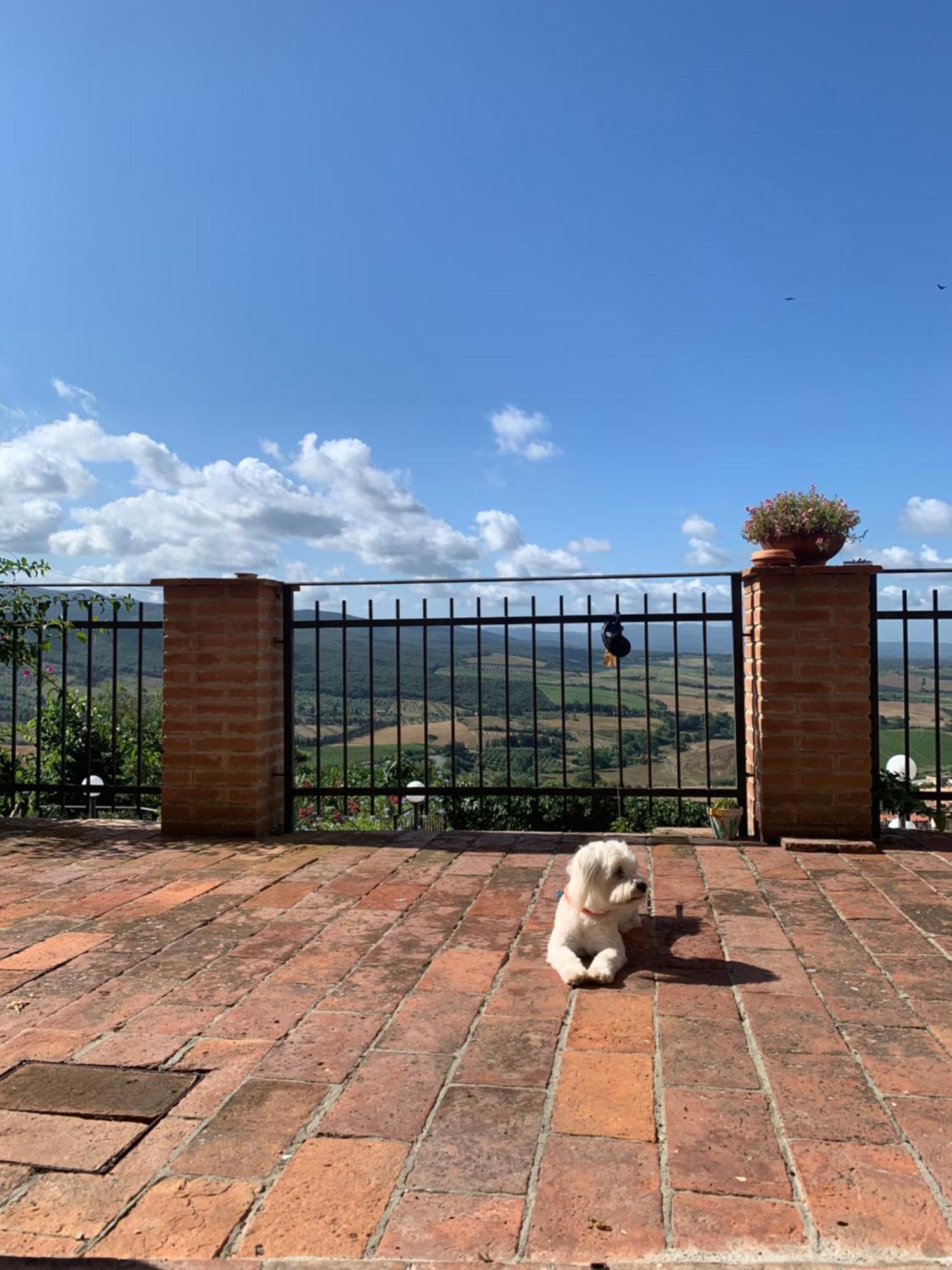 Casa Cerboneschi