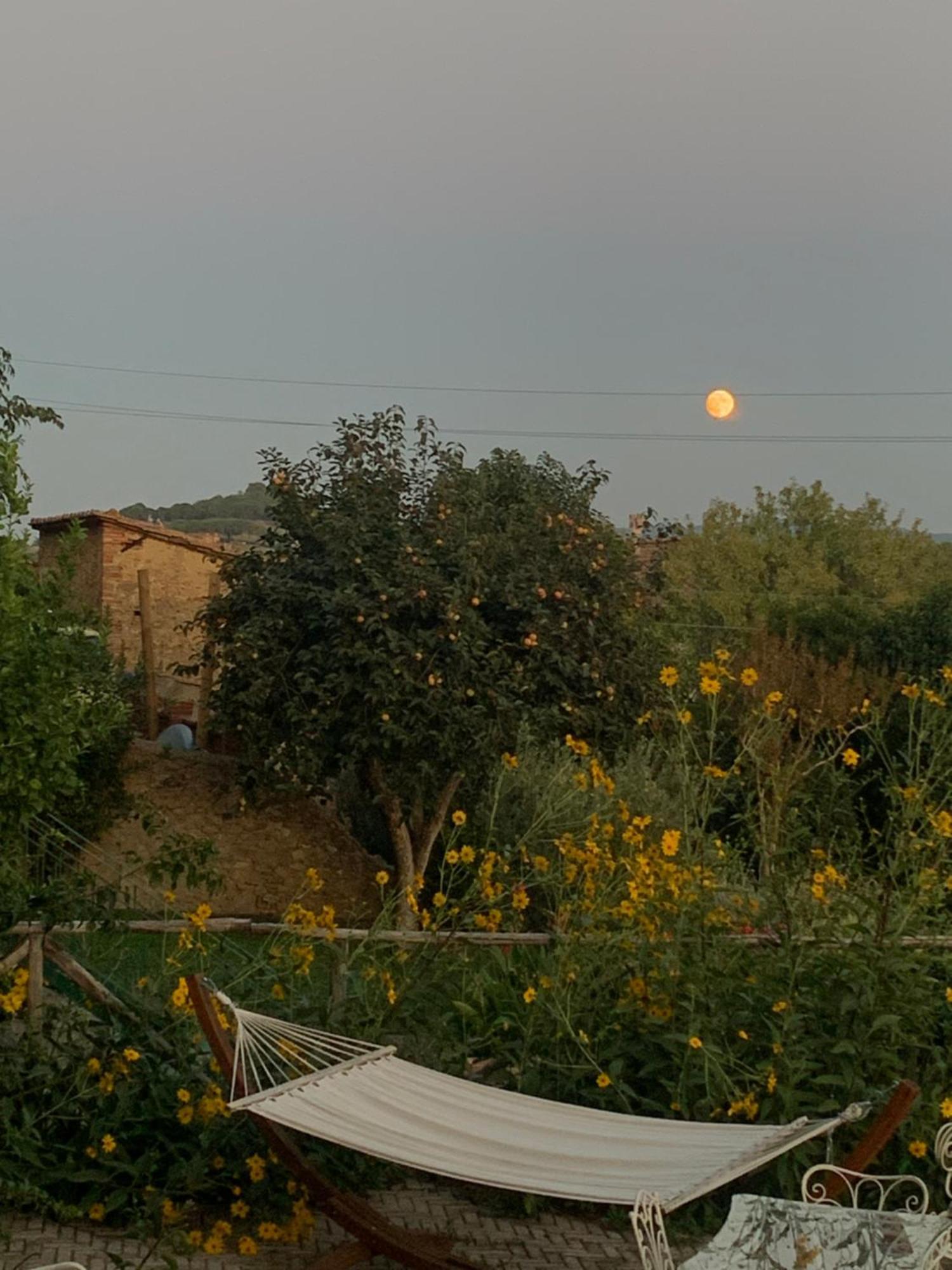 Casa Cerboneschi *
